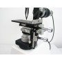 IMMERSION-MICROSCOPE Mod. Schneider