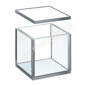 IMMERSION CELL 4x4cm