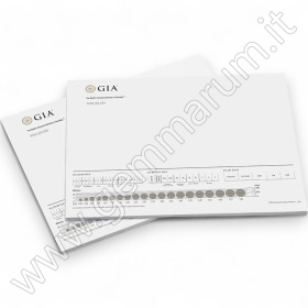 Diamond Sorting Pads (Pack of 2) 28x22