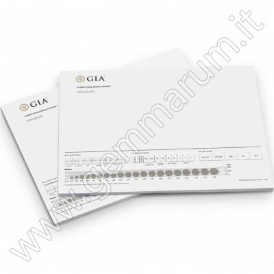 50 Blatt-GIA-BlockNotizen - 28x22cm