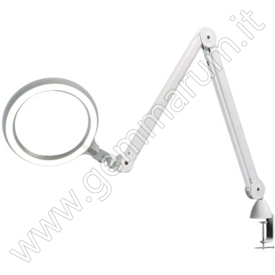 KALTLICHTLAMPE 6000°K