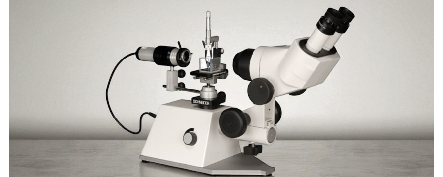 Microscopi ad immersione